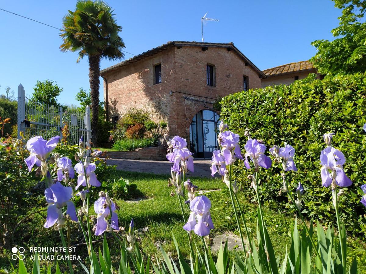 Villa Vignano40 Siena Exterior foto