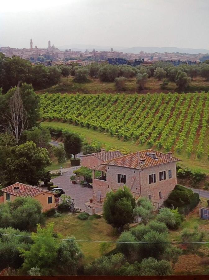 Villa Vignano40 Siena Exterior foto