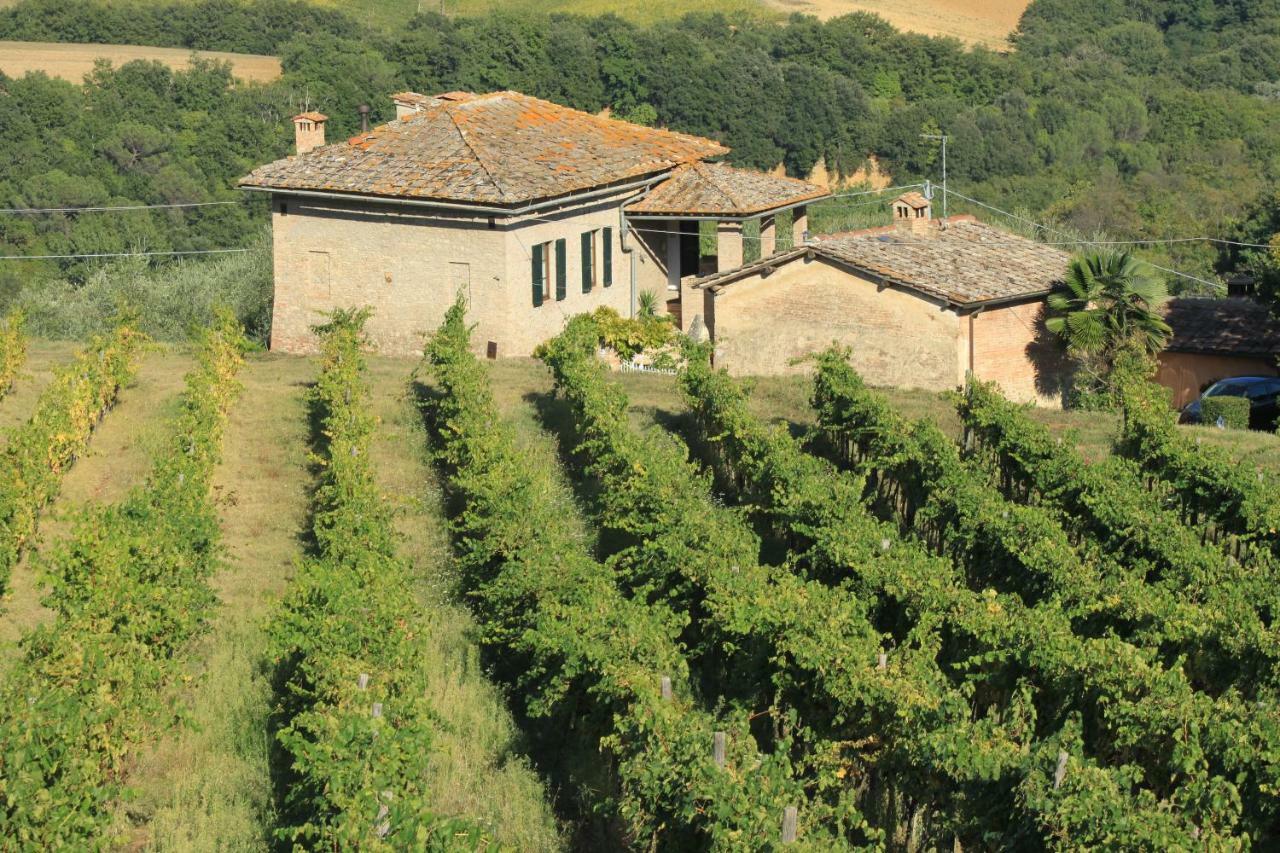 Villa Vignano40 Siena Exterior foto
